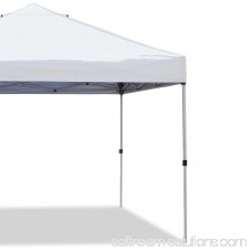 Z-Shade 10' x 10' Peak Canopy Straight Leg Instant Shade Tent Portable Shelter